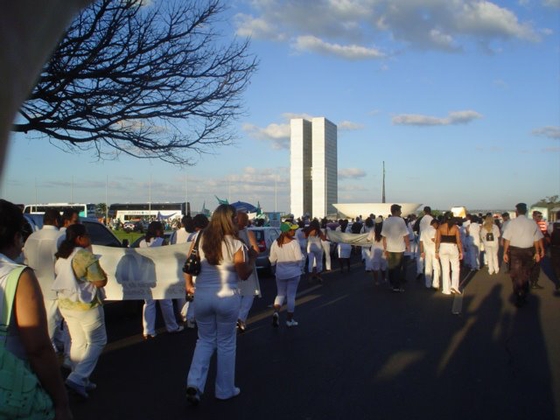 Manifestação pela jornada de 30 horas em Brasília — foto 1